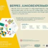 Beppes Junioreksperiment