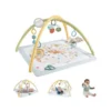 Fisher Price, Sensimals Simply Senses Nyfødt aktivitetsmatte