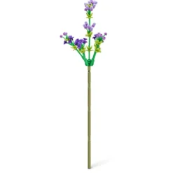 ZURU Max, Rose Collection-Serie 1